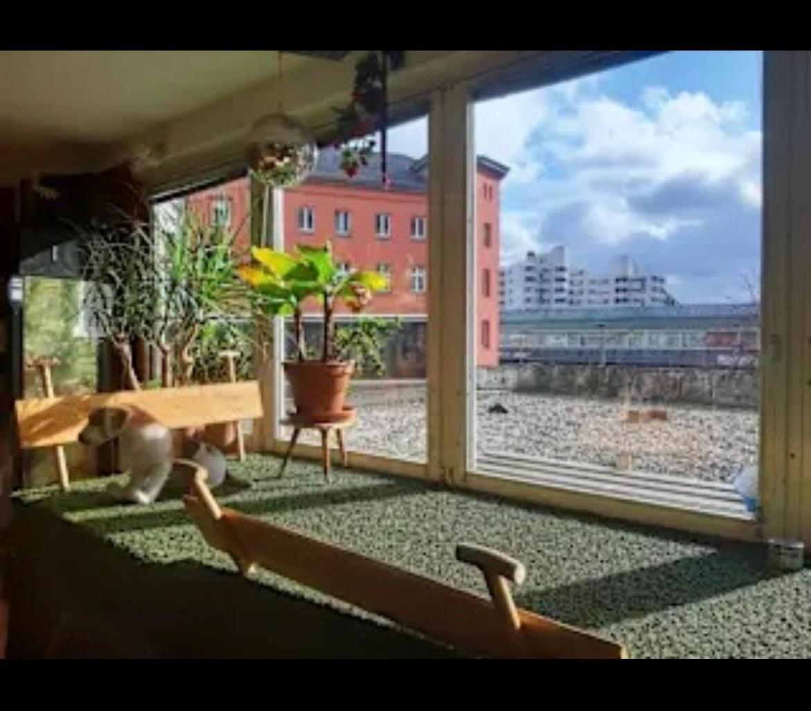 Albergue Comebackpackers